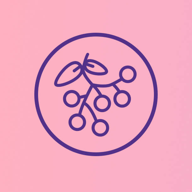 elderberry graphic
