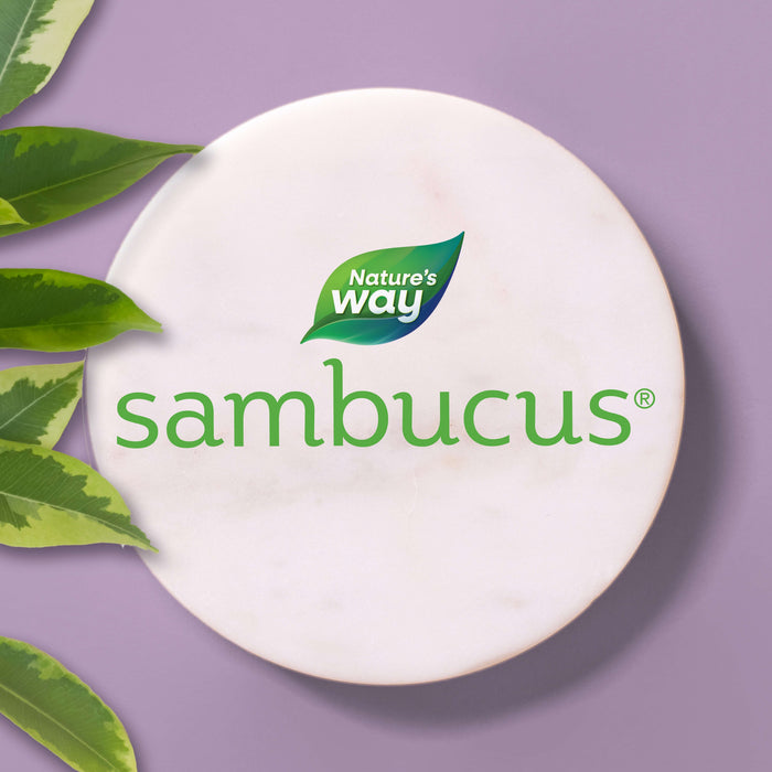 Nature's Way Sambucus product on a purple background with green leaves.