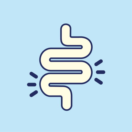 Illustration of a stylized intestine on a light blue background