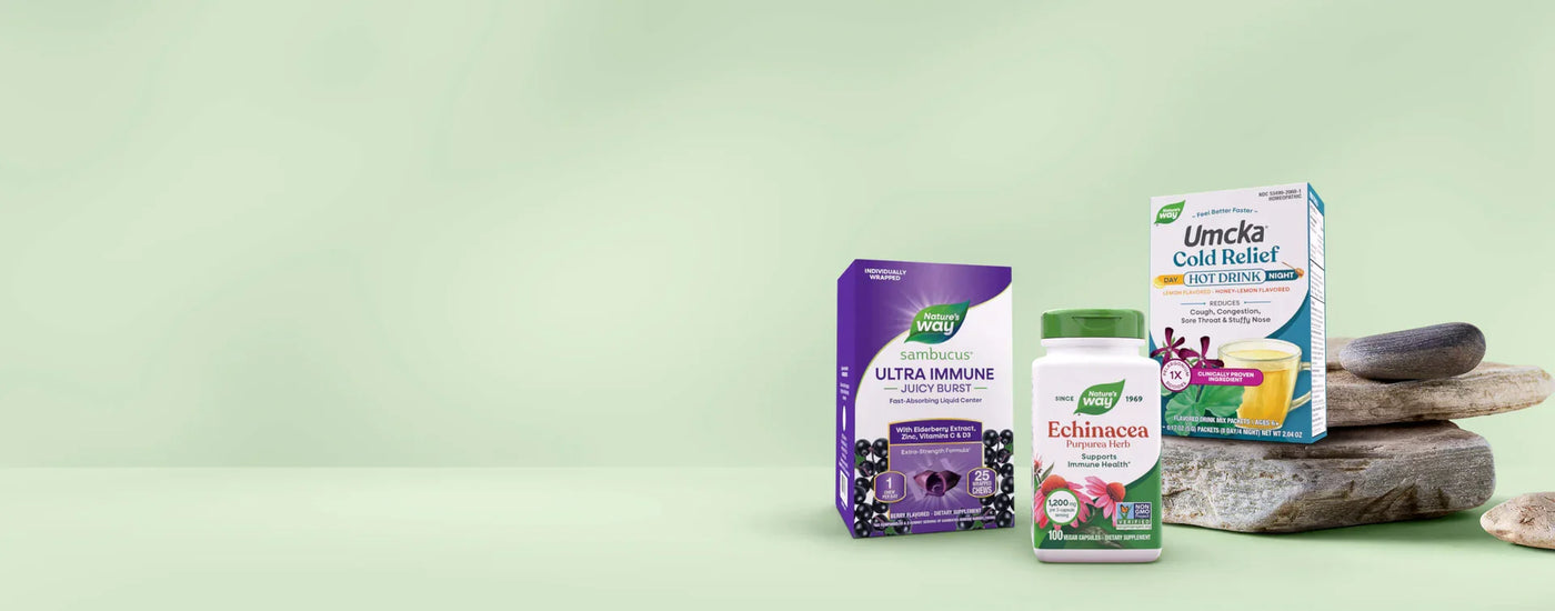 Three health supplement products are displayed on a light green background with decorative stones. The products include a purple box of Ultra Immune, a white bottle of Echinacea, and a white box of Umcka Cold Relief.