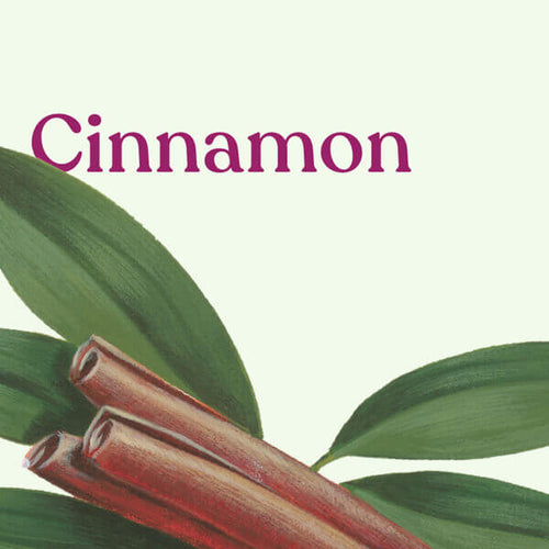 Cinnamon Extract