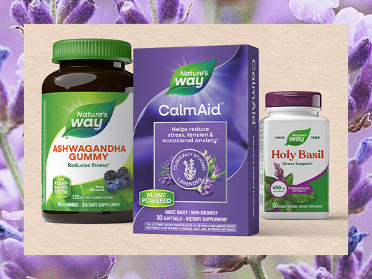 Nature's Way CalmAid supplement box with Ashwagandha Gummy and Holy Basil bottles on a wooden stand with lavender flowers in the background.