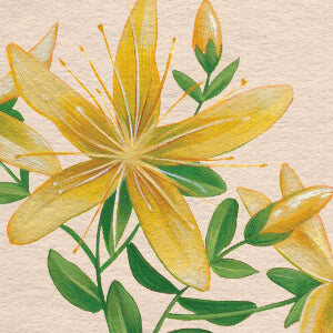 Yellow flowers with green leaves on a beige background