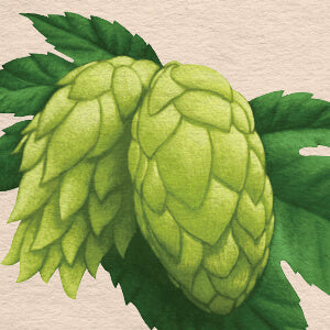 Watercolor-style illustration of two green hop cones with dark green leaves on a light beige textured background.