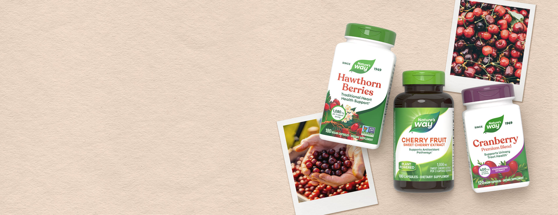 Nature's Way supplement bottles with images of berries on a beige background