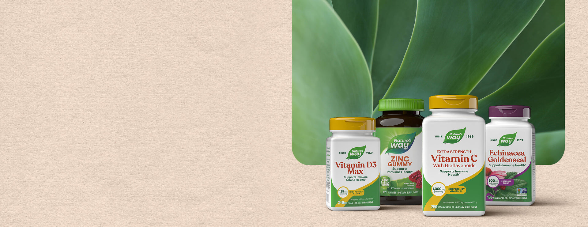 Collection of Nature's Way supplement bottles on a beige background with green leaves.