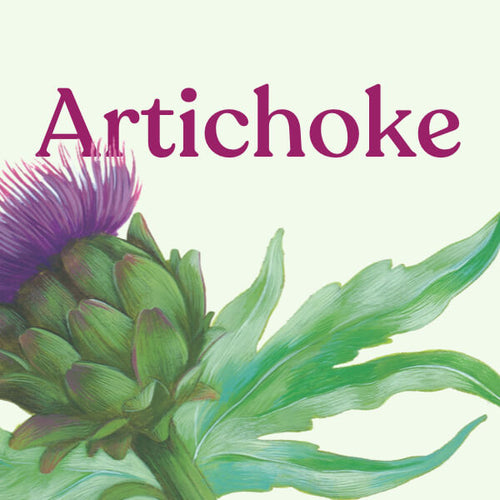 Artichoke
