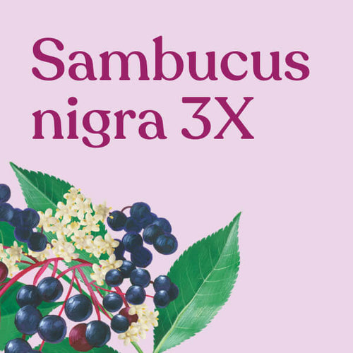 Sambucus nigra 3X