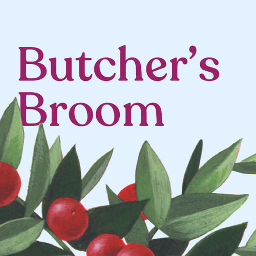 Butcher’s Broom