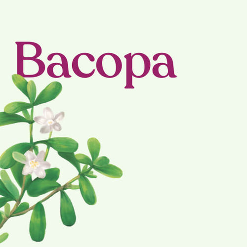 Bacopa