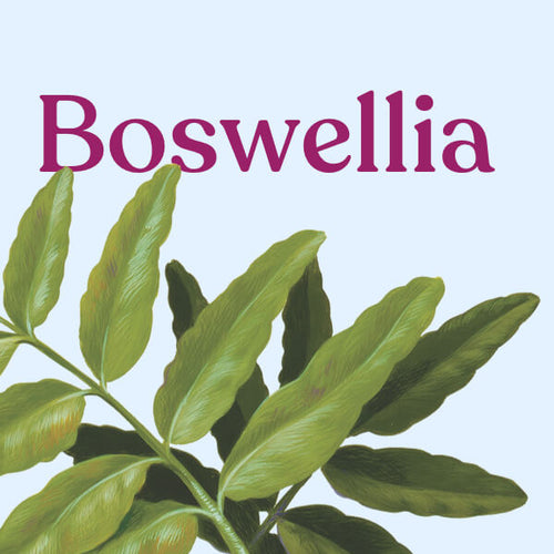 Boswellia