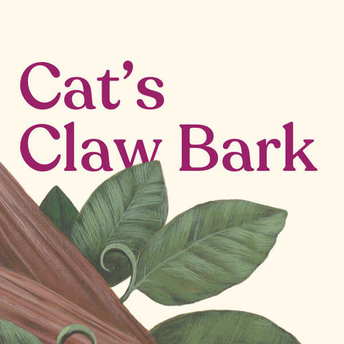Cat’s Claw Bark