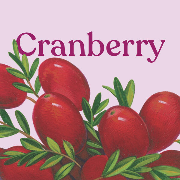 Cranberry Premium Blend Tablets – Nature&amp;#39;s Way®