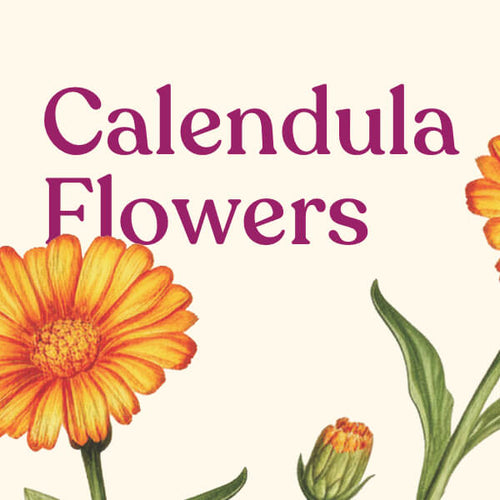 Calendula