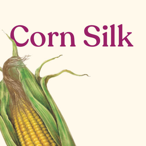Corn Silk