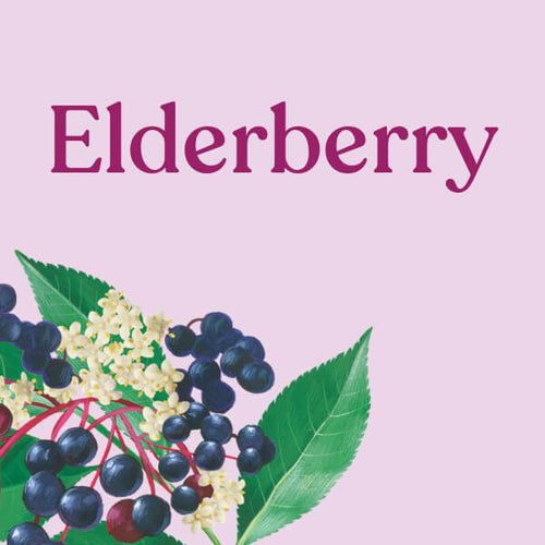 Elderberry