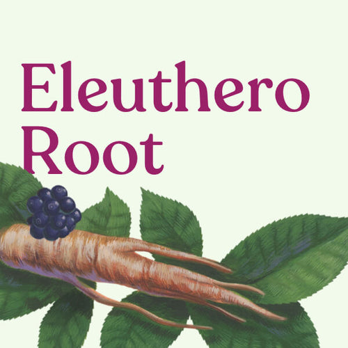 Eleuthero Root