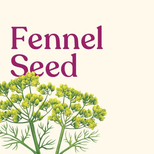Fennel Seed