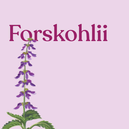 ForsLean® Forskohlii