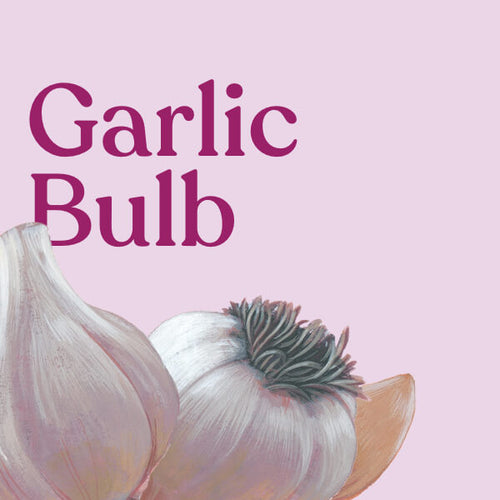 Garlic Bulb
