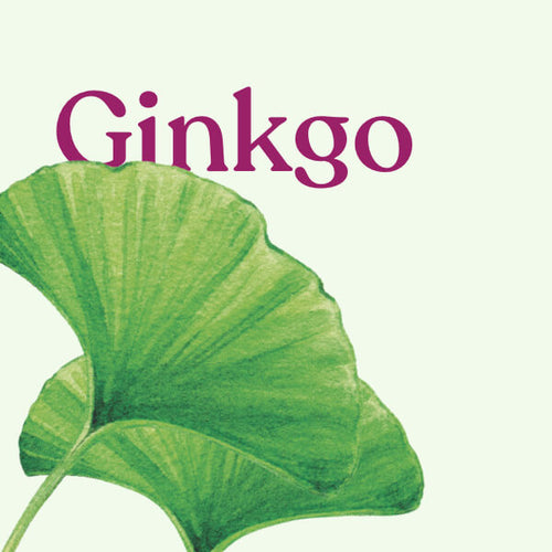 Ginkgo