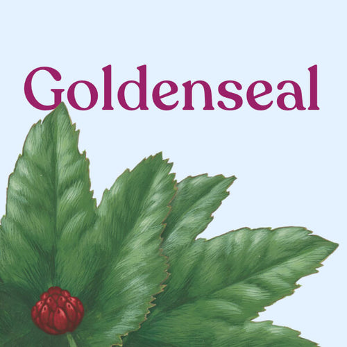 Goldenseal