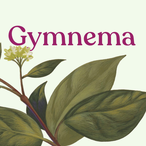 Gymnema