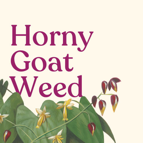 Horny Goat Weed