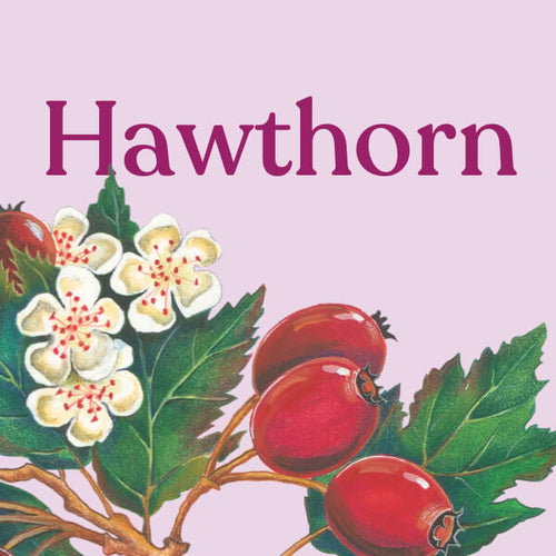 Hawthorn Leaf