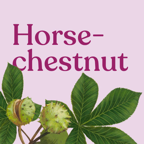 Horse Chestnut