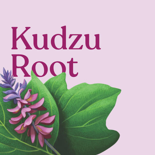 Kudzu Root