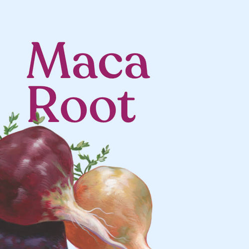 Maca Root Powder