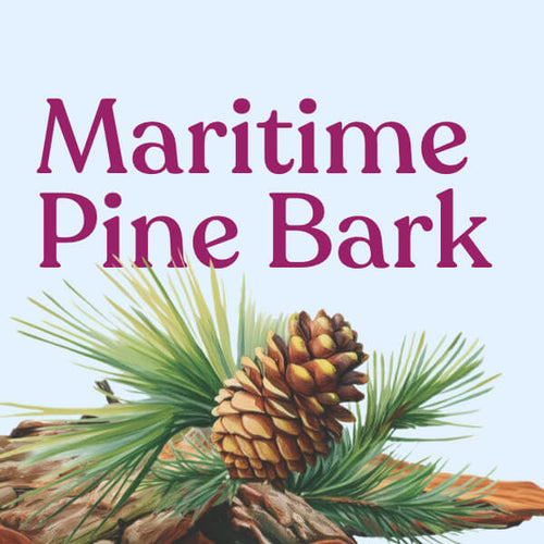 Pycnogenol® Maritime Pine