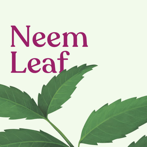 Neem Leaf