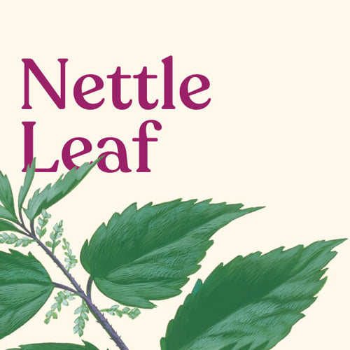 Nettle Leaf