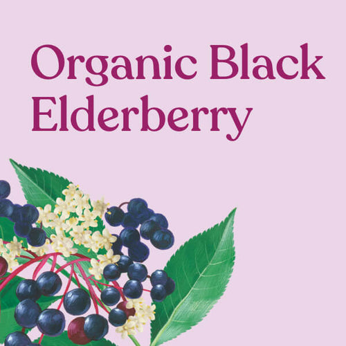 Organic Black Elderberry