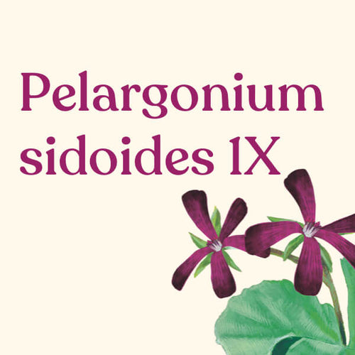 Pelargonium sidoides 1X