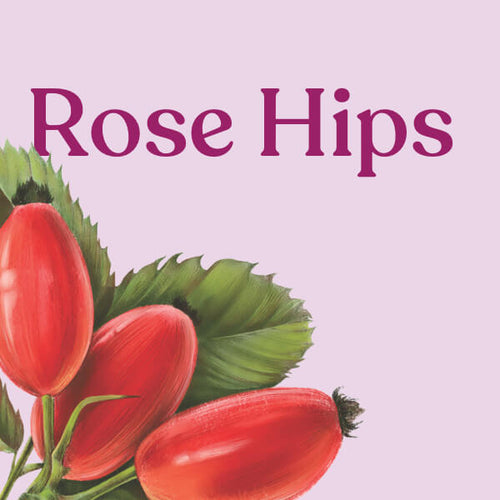 Rose Hips