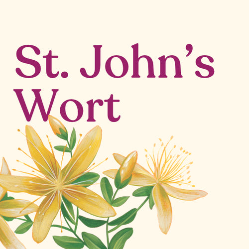 johns wort glutathione St 300mg by Natures Bounty 100 Capsules Mountainside Medical 12 Medications That Interact With