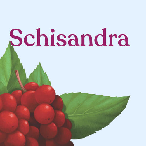 Schisandra Fruit 