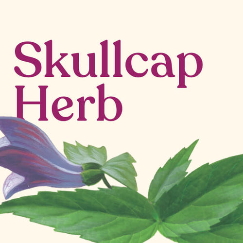 Skullcap