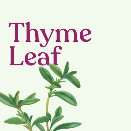 Thyme Leaf