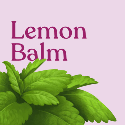 Lemon Balm