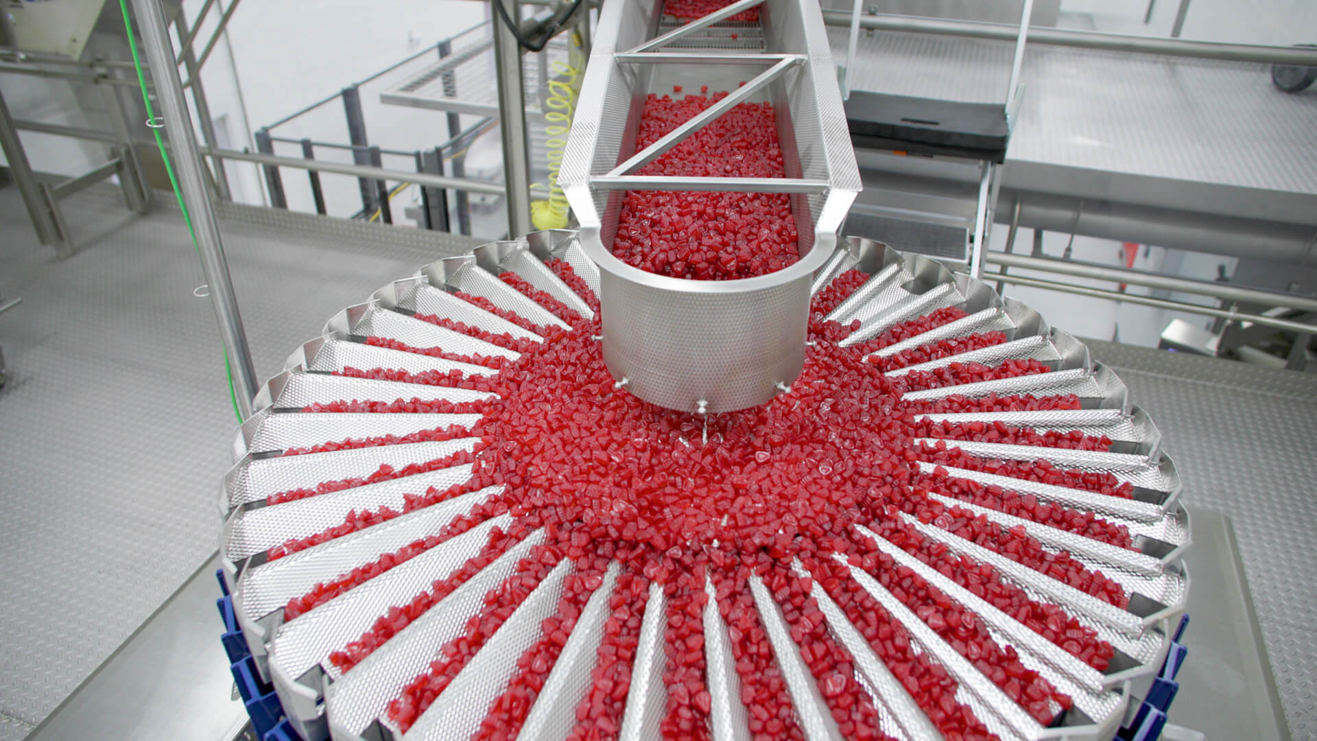 Gummy factory equipment sorting gummies for packaging.
