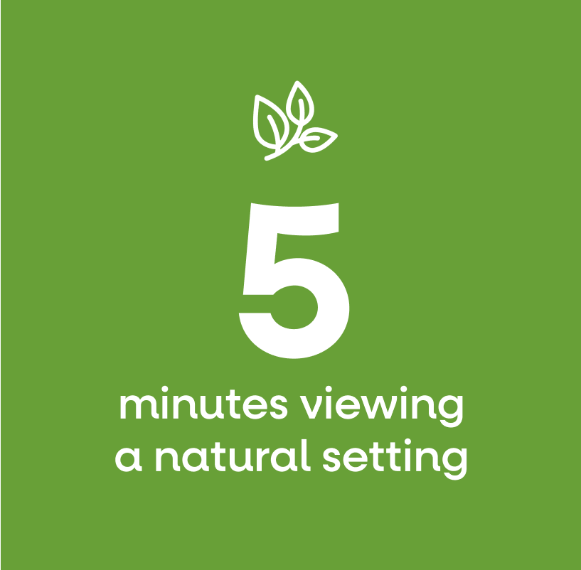 5 minutes viewing a natural setting