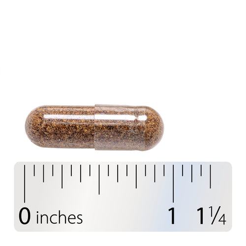 Saw Palmetto Berries - Capsule and ruler Sku:16750