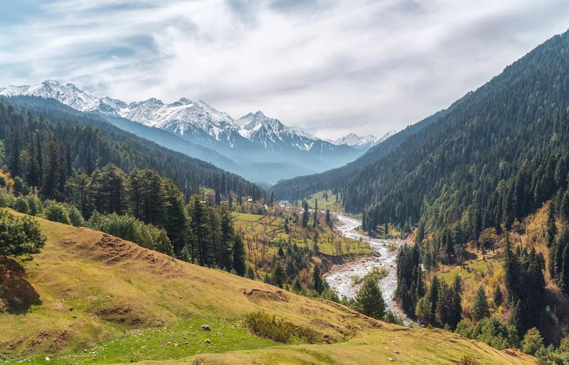 A scenic mountain valley landscape with snow-capped peaks in the distance, evergreen forests on the slopes, a winding river through the center, and grassy hills in the foreground under a cloudy sky.