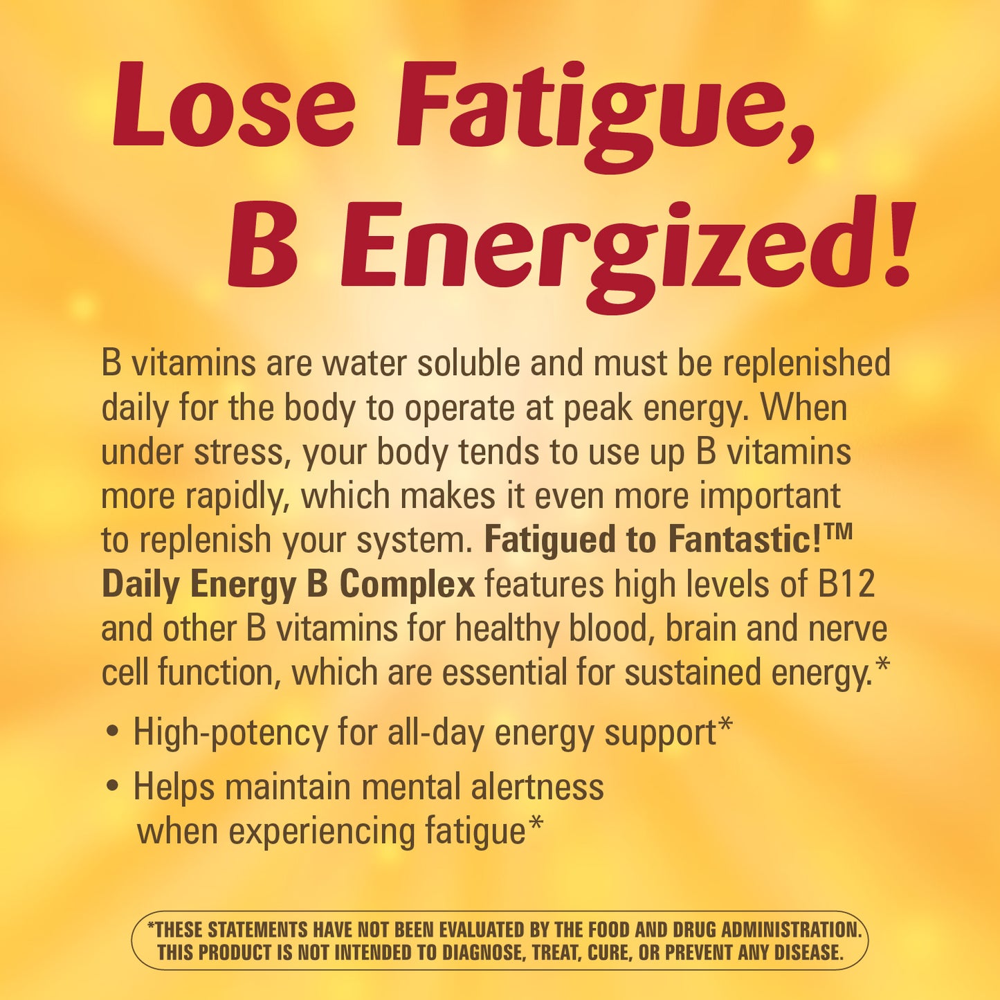 <{%MAIN6_03242%}>Nature's Way® | Fatigued to Fantastic!™ Daily Energy B Complex