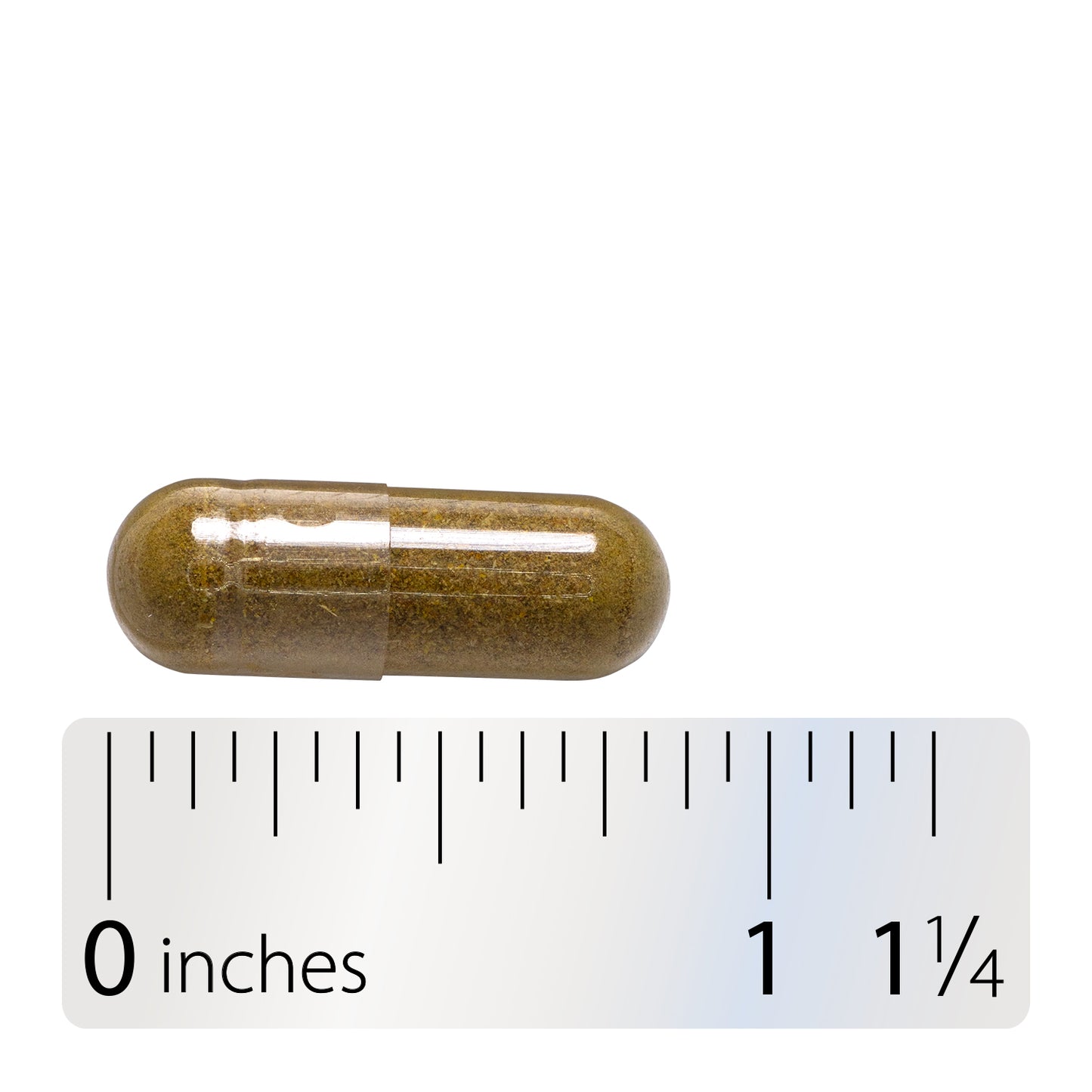 <{%MAIN4_12108%}>Echinacea Goldenseal Premium Blend - Capsule and ruler