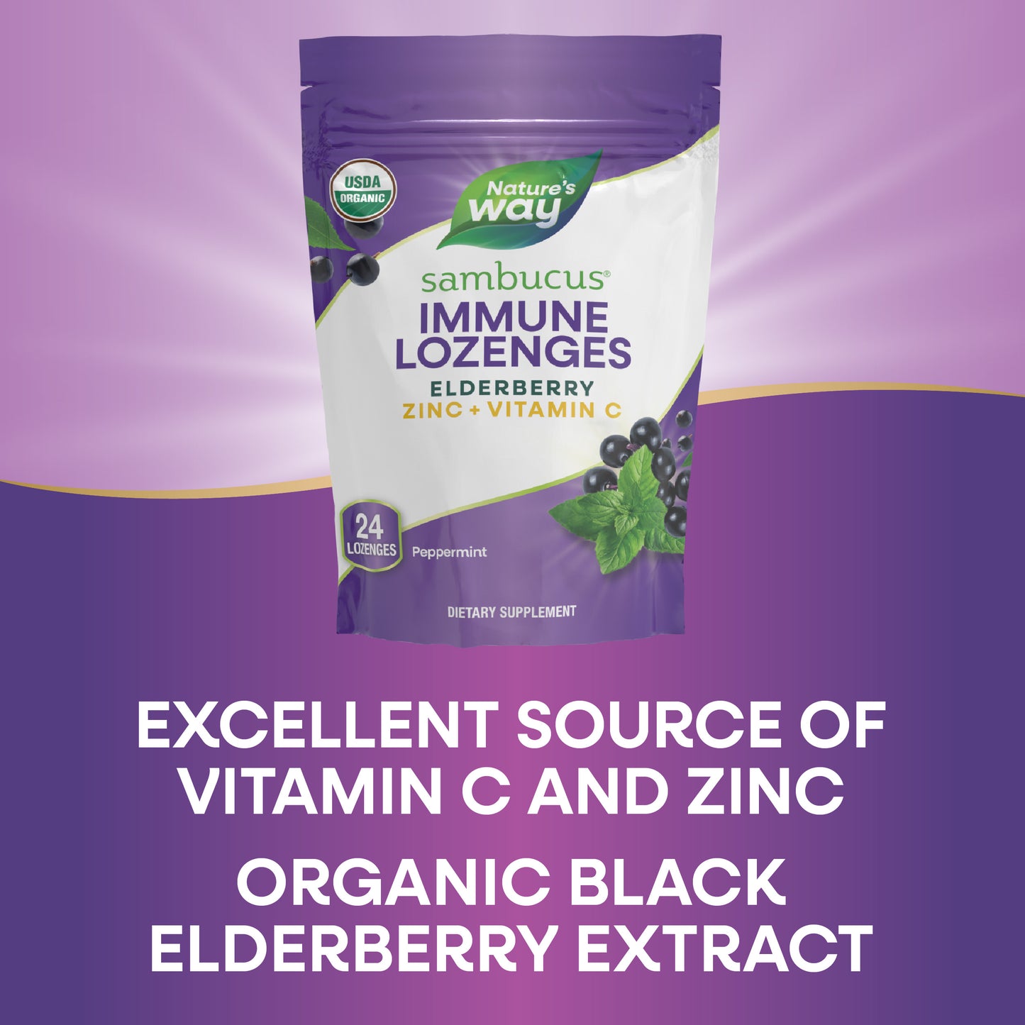 <{%MAIN5_12088%}>Nature's Way® | Sambucus Immune Lozenges